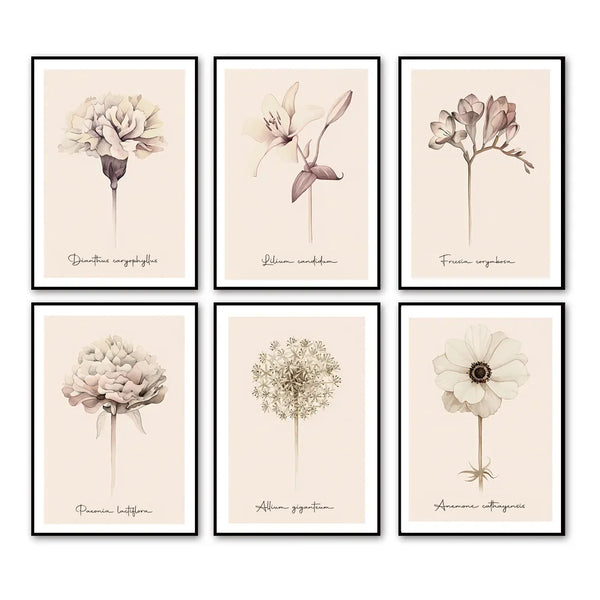 Flower Minimalism Art Series - art print