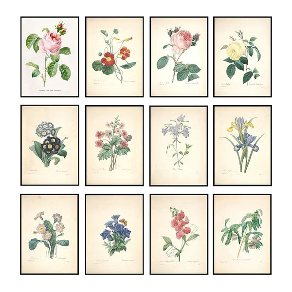 Vintage Botanical Studies Art Series - art print